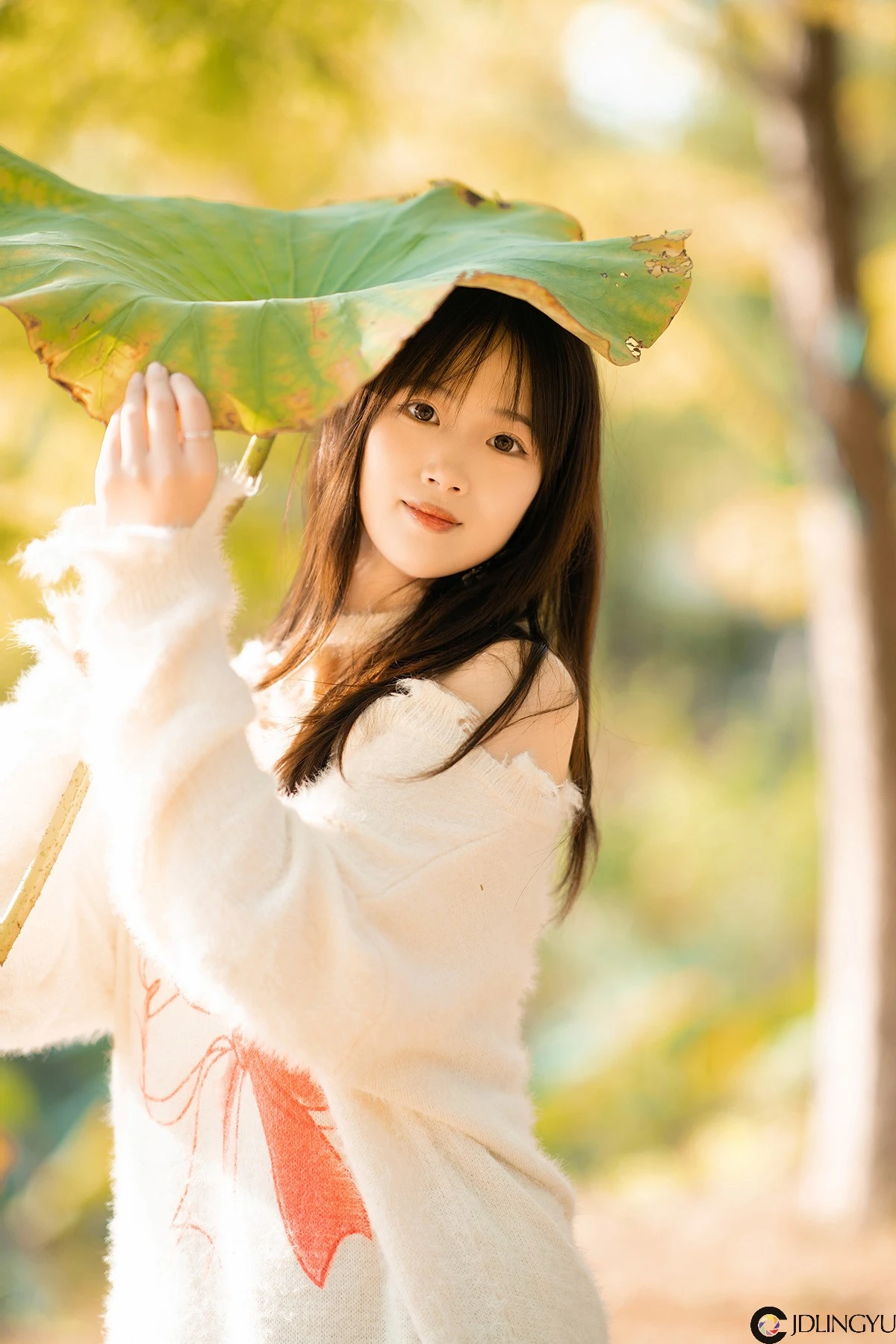 -15_04_26_2024.webp